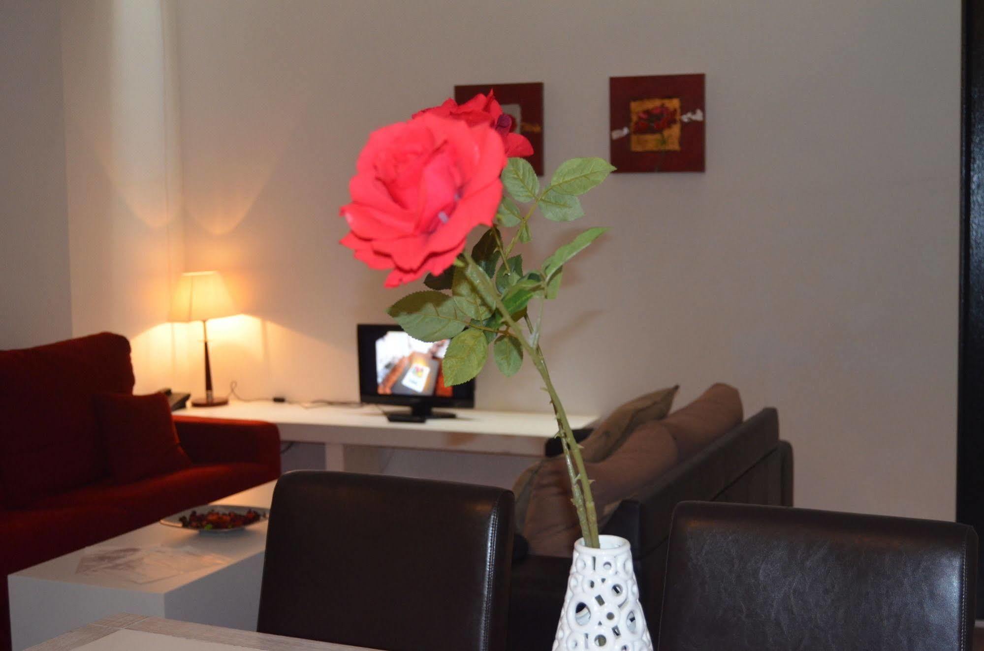 Coronado Apartament *